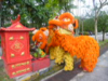 CNY Acrobatic Lion Dance